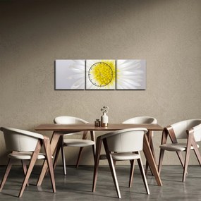 Tablou - Margarita (cu ceas) (90x30 cm)