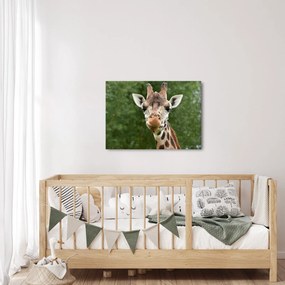 Tablou cu girafa (70x50 cm)