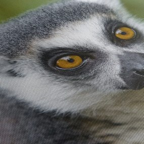 Tablou cu lemur (70x50 cm)