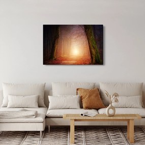 Tablou cu pădurea toamna în ceață (90x60 cm)