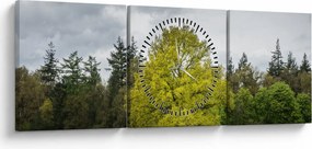 Tablou - Copac verde în câmp (cu ceas) (90x30 cm)