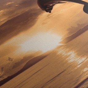 Tablou - Delfin la apus de soare (120x50 cm)