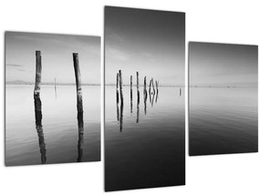 Tablou cu nivelul de lac alb negru (90x60 cm)