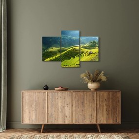 Tablou - Concert Terase de orez (90x60 cm)