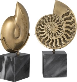 Set 2 obiecte decorative design deosebit LUX Ammonite 113731 HZ