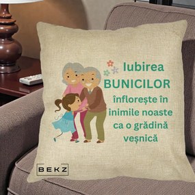 Cadou pentru Bunici - Perna Personalizata Bunicii Iubirea Infloreste cu Nepoata Teal, 40x40 cm, Crem, Husa Detasabila, Perna Inclusa, BEKZ®