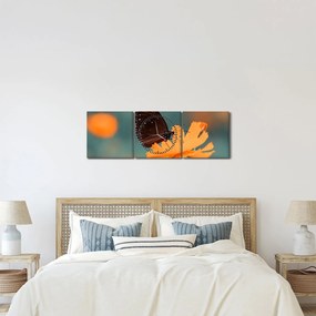 Tablou - fluture pe o floare portocalie (cu ceas) (90x30 cm)