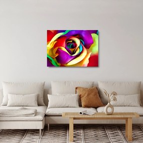 Tablou pe sticlă - Trandafir colorat (70x50 cm)