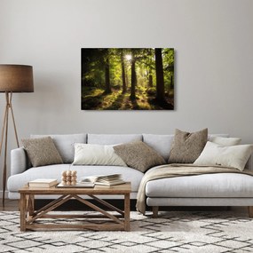 Tablou - Pădurea de vis (90x60 cm)