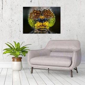 Tablou pe sticlă detailat cu ochii de omidă (70x50 cm)