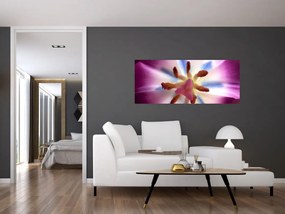 Tablou - Laleaua detailat (120x50 cm)