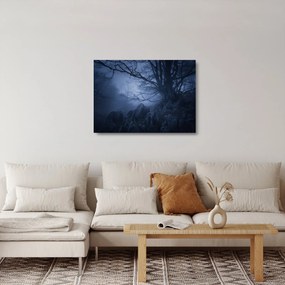 Tablou pe sticlă pădurii întunecate (70x50 cm)
