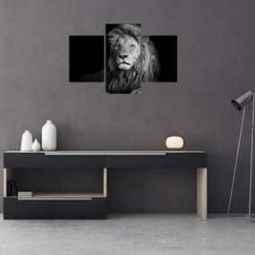 Tablou - Leu, alb și negru (90x60 cm)