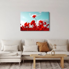 Tablou - Câmp cu flori roșu deschis (90x60 cm)