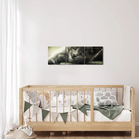 Tablou cu pisicuța (cu ceas) (90x30 cm)