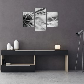 Tablou - Macro,alb-negru (90x60 cm)