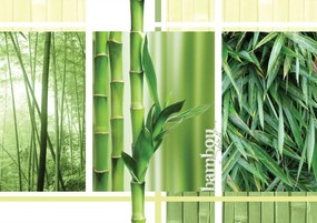 Fototapet - Bambus (254x184 cm), în 8 de alte dimensiuni noi