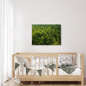 Tablou - Pădure deasă (70x50 cm)