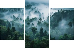 Tablou - Pădure în Ceață (90x60 cm)