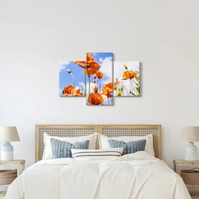 Tablou cu macii (90x60 cm)