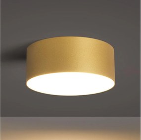 BRILAGI -LED Plafonieră de baie FORIS LED/20W/230V Ø 15 cm aurie IP44