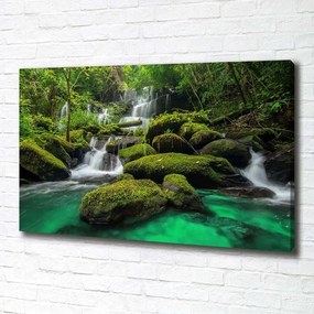 Tablouri tipărite pe pânză Cascada din pădure