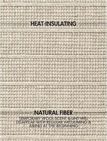 Covor crem țesut manual din lână 200x300 cm Camden Parker – Ted Baker