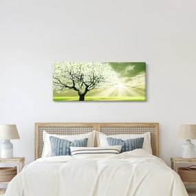Tablou cu copaci pe luncă (120x50 cm)