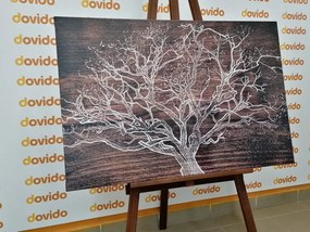 Tablou coroana copacului pe fundalul din lemn