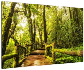 Tablou junglei cu mușchi (90x60 cm)