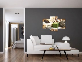 Tablou - Momente pentru relaxare (90x60 cm)