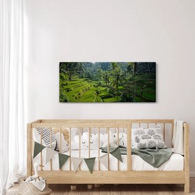 Tablou cu terasele cu orez Tegalalang, Bali (120x50 cm)