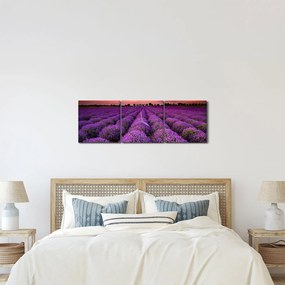 Tablou - Câmp de lavandă (cu ceas) (90x30 cm)