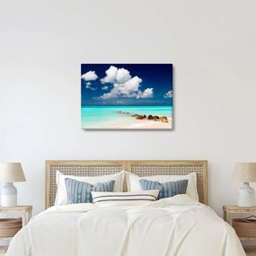 Tablou cu mare (70x50 cm)