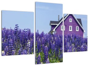 Tablou cu câmp de lavanda (90x60 cm)