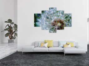 Tabloul cu păpădie desflorit (150x105 cm)