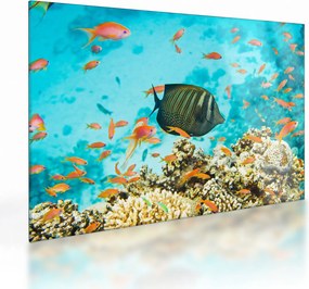 Tablou pe sticlă lumii submarine (70x50 cm)