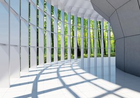 Fototapet - Pădurea - tunel (152,5x104 cm), în 8 de alte dimensiuni noi