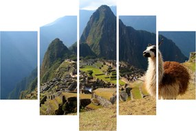 Tablou - Lama și Machu Picchu (150x105 cm)