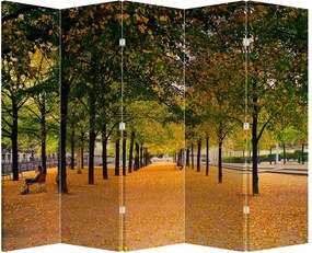 Paravan - Alee - copaci în toamnă (210x170 cm)