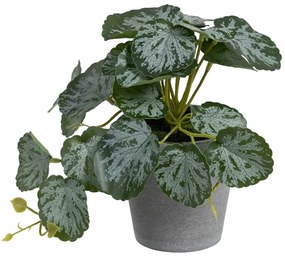 Plantă artificială (înălțime 21,5 cm) Saxifraga – Ixia