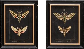 Set 2 tablouri, "Butterfly"