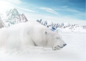 Tablou pe sticlă - Urs polar (70x50 cm)