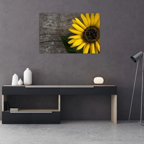 Tablou - Floare de floarea soarelui (90x60 cm)
