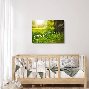 Tablou pe sticlă cu poiana și flori (70x50 cm)