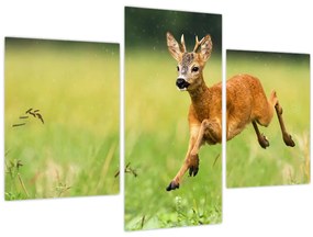 Tablou - Haită (90x60 cm)