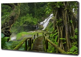 Tablouri tipărite pe pânză Cascada din junglă