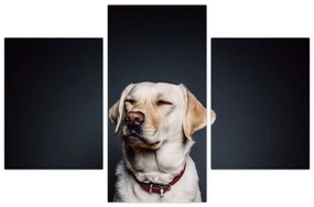 Tablou cu labrador (90x60 cm)