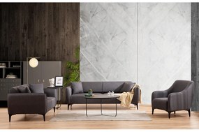Fotoliu Belasemma (gri închis + negru). 1106483