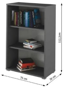 Dulap Birou RIOMA NEW TYP 04 Gri